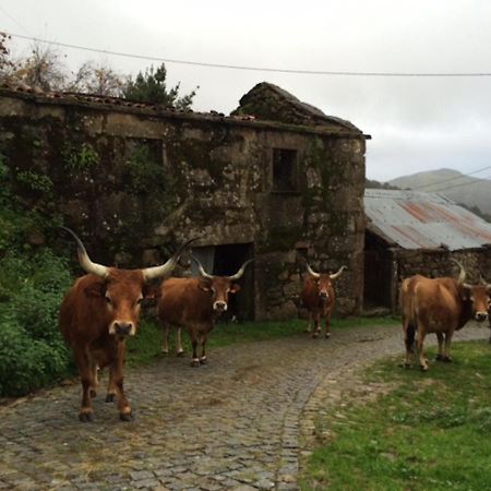 Casa Do Ramiscal - Eido Do Pomar Villa Sistelo Dış mekan fotoğraf